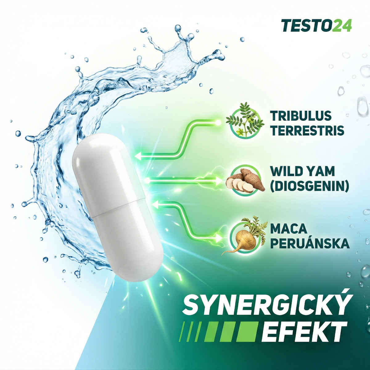 testo24  synergicky ef .inf.4